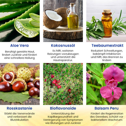 [Offizieller Shop] Cvreoz® Kräuter Hämorrhoiden Behandlung Anal Spray — In 7 Tagen schmerzfrei – garantiert!