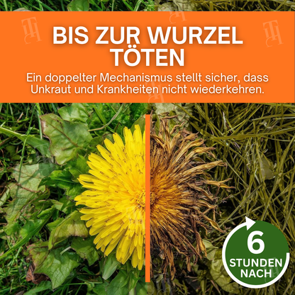 [Offizieller Shop] AEXZR® 2-in-1 Max Leistung Herbizid – 6-Stunden-Wirkung – Kein Warten mehr