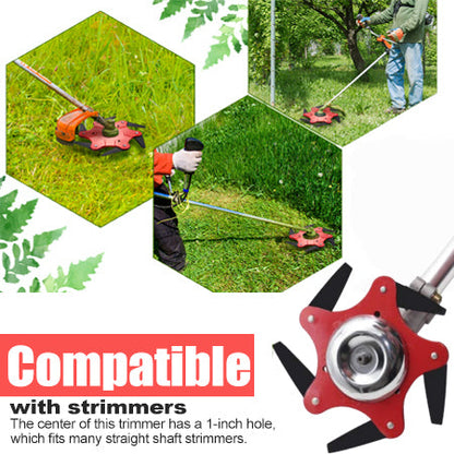 AEXZR®6 Stahlrasierer-Trimmerkopf